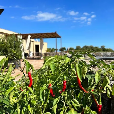 La Cantina Di Campagna *
