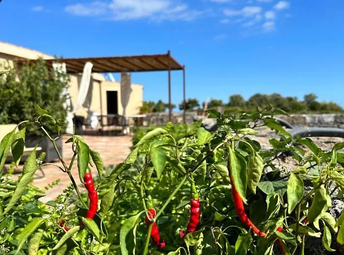 La Cantina Di Campagna *